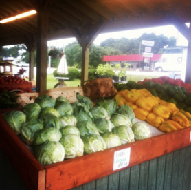 wilmington | Atwell Adventures 3