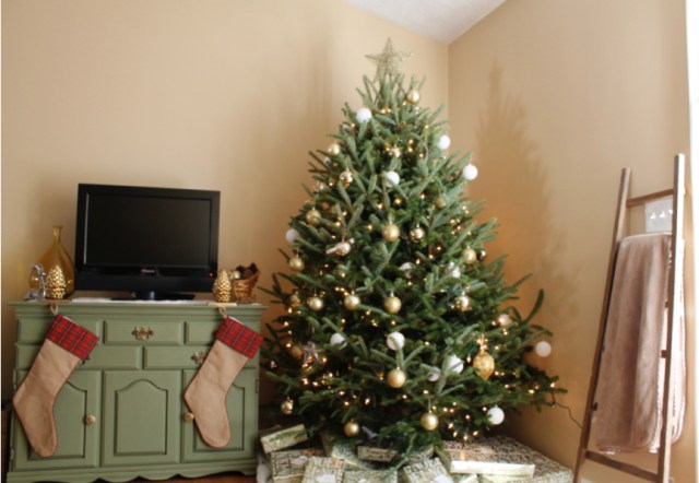 First Christmas | Atwell Adventures 1