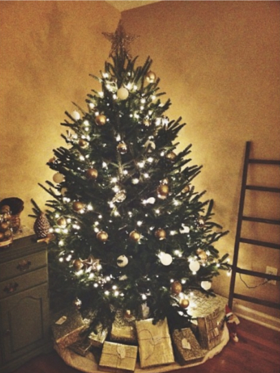 First Christmas | Atwell Adventures 4