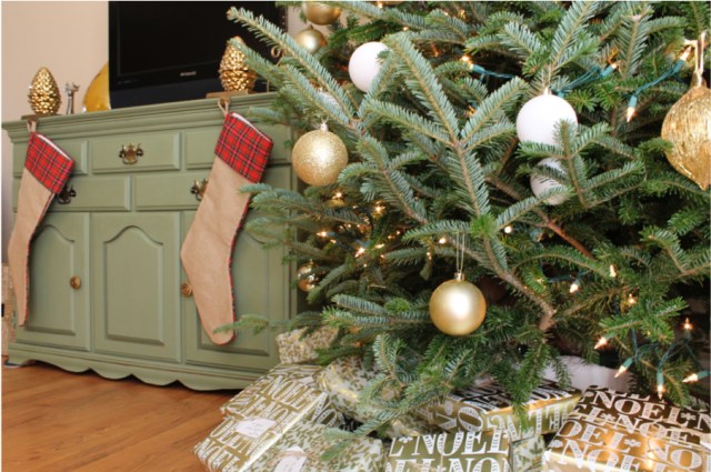 First Christmas | Atwell Adventures 7