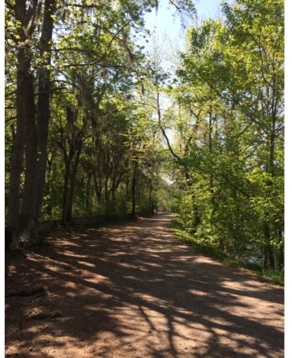 Augusta canal  | Atwell Adventures 2