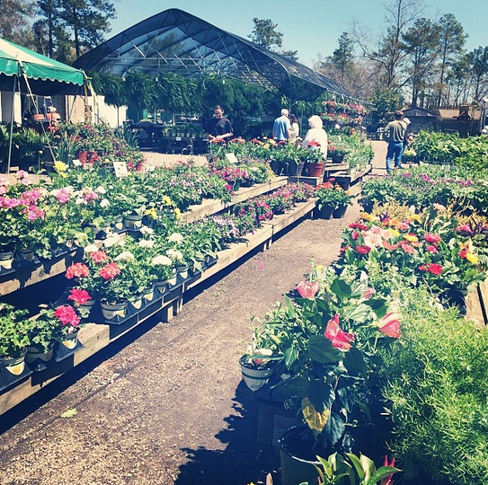 good earth | Atwell Adventures