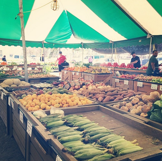 good earth | Atwell Adventures