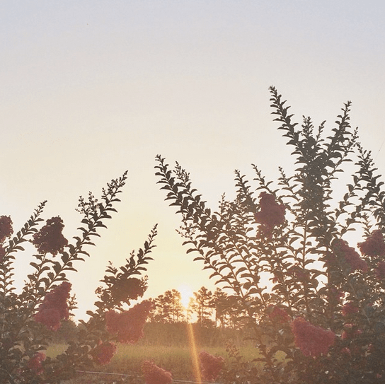 Screen Shot 2014-06-20 at 8.33.07 AM